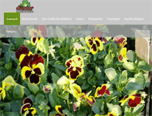 Tablet Screenshot of dundarcicekcilik.com